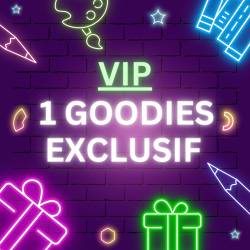 1 GOODIES EXCLUSIF VIP