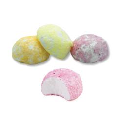 Sac de boules coco - 1,1kg