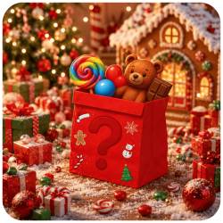 Mystery Bag Noël 🎅