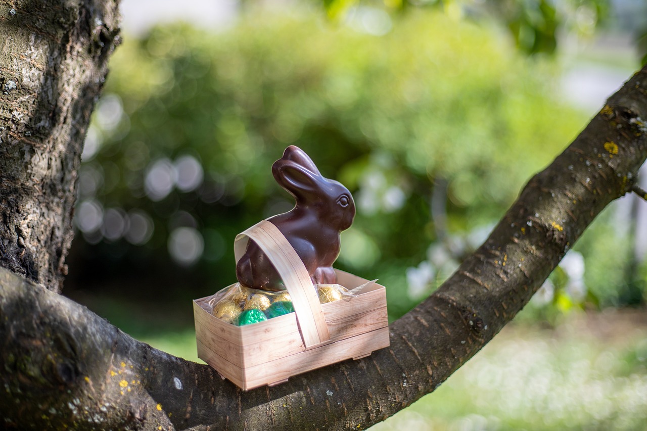 organiser la chasse aux oeufs de Pâques 